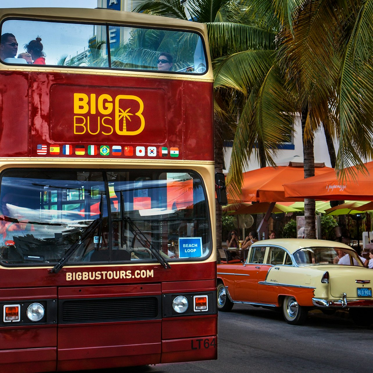 Big Bus Miami: Hop-on Hop-off Bus Tour + Yacht Cruise - Photo 1 of 8